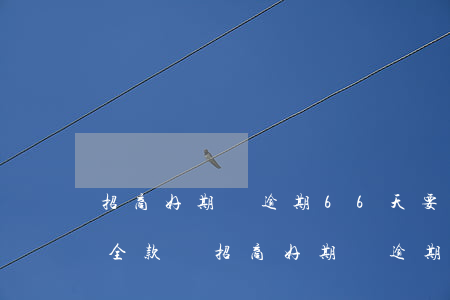 招商好期貸逾期66天要求還全款就只能還全款嗎，招商好期貸逾期66天，全額還款是唯一選擇嗎？
